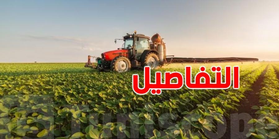 إجراءات استثنائية لمساعدة الفلاحين على تجاوز أعباء فواتير الطاقة.. التفاصيل والخطوات