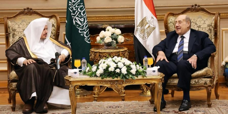 رئيس مجلس الشورى يلتقي رئيس مجلس الشيوخ المصري