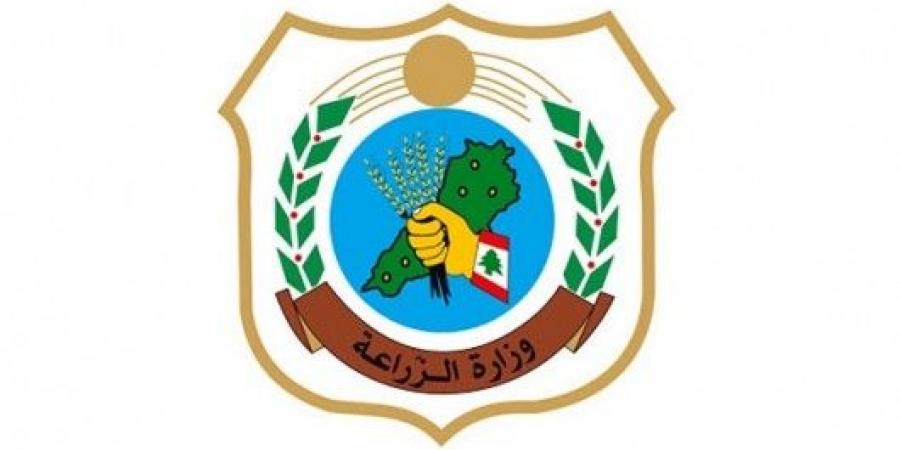 وزارة الزراعة: إجراءات فورية لمعالجة ظاهرة الكلاب الشاردة