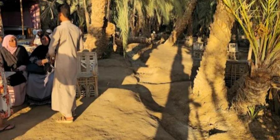 جزيرة فطناس بسيوة مقصد سياحي للاجانب لمشاهدة غروب الشمس