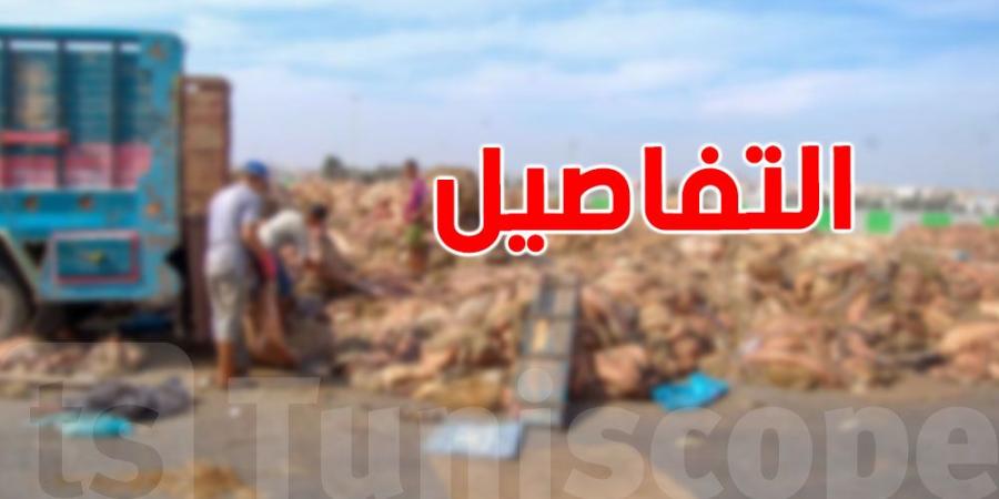 تراجع ملحوظ في تجميع جلود الأضاحي: 20% فقط تم جمعها مقارنة ب40% العام الماضي