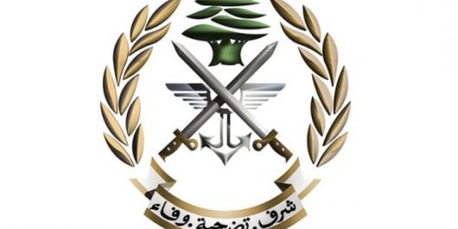 الجيش اللبناني: العثورعلى مسيّرتين اسرائيليتين في حولا وبيت ليف