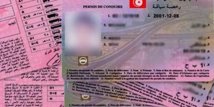 دخول اتفاق الاعتراف المتبادل برخص السياقة بين تونس وإيطاليا حيز التطبيق بداية من 20 جويلية القادم