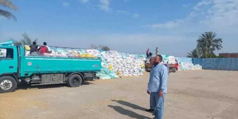 ارتفاع الكميات الموردة من القمح المحلي للمواقع التخزينية بمحافظة الشرقية