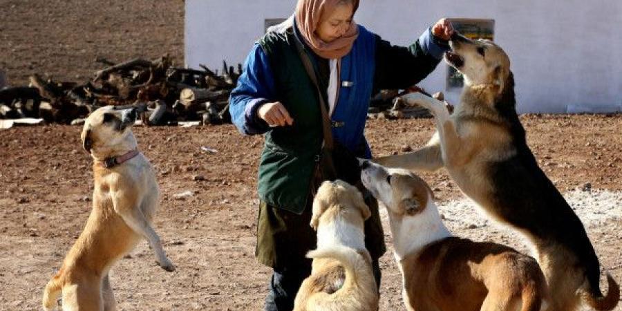 إيران توسّع حملة حظر اصطحاب الكلاب