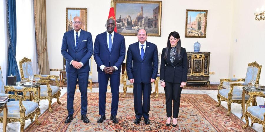 “السيسي” يبحث مع “التمويل الدولية” تعزيز التدفقات الاستثمارية إلى مصر