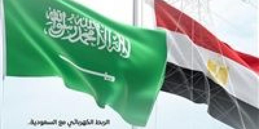 المركز الإعلامي لمجلس الوزراء: الربط الكهربائي مع السعودية نقطة انطلاق مصر كمحور إقليمي للطاقة