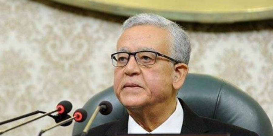 النواب يحذر من محاولات البعض تنظيم مسيرات أو التوجه إلى المناطق الحدودية المصرية دون التنسيق المسبق