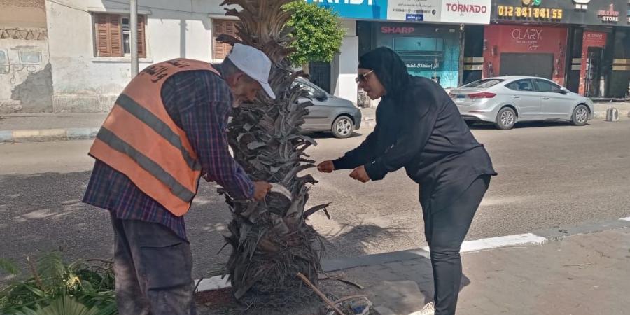 صيانة دورية للمسطحات الخضراء بمحافظة الإسماعيلية