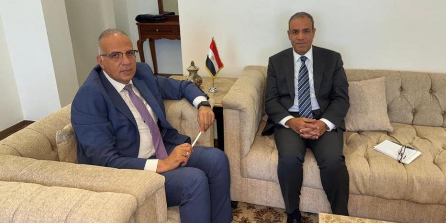 لقاء بين وزيري الخارجية والموارد المائية: تنسيق مستمر للدفاع عن مصالح الأمن القومي