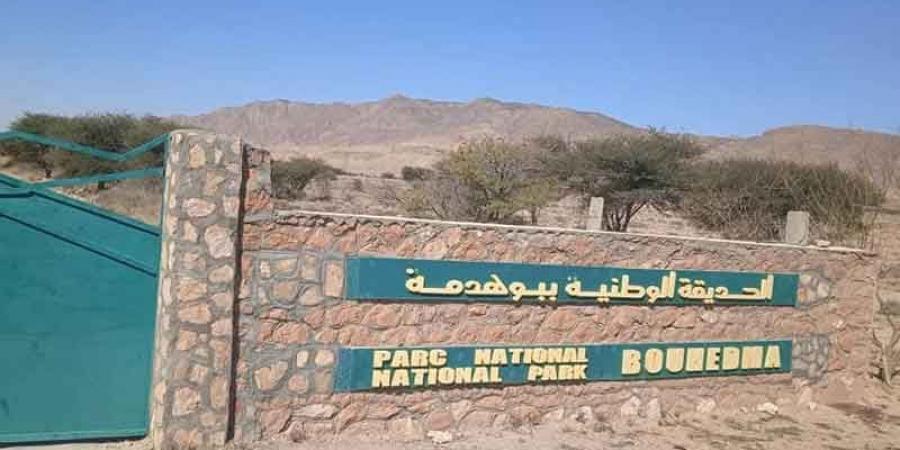 تونس الجميلة: محمية بوهدمة بالمزونة / سيدي بوزيد: كنز طبيعي يضمّ 60 % من حيواناتنا البرّية
