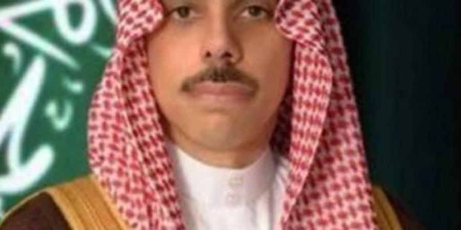 وزير الخارجية ونظيره الهولندي يبحثان التطورات في قطاع غزة (هاتفيًا)