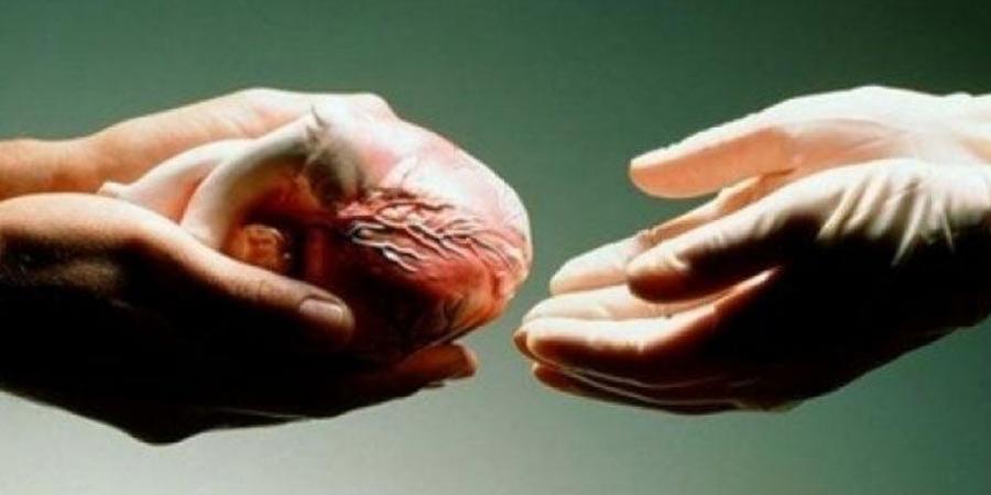 صفاقس.. .حقيقة تورّط مصحة في الاتجار بأعضاء بشرية