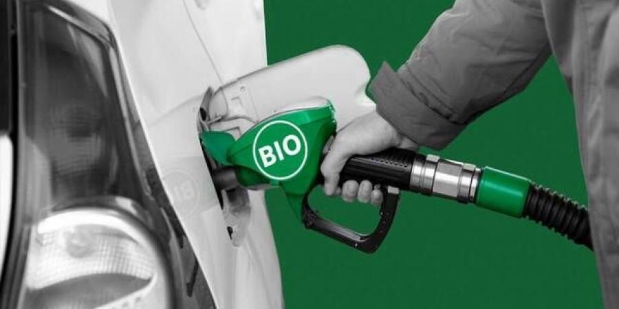 بولتيكو: الحكومة البريطانية ترفض دعم منتجي الوقود الحيوي للمحليين