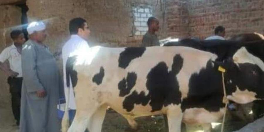 حملة التحصين ضد الحمى القلاعية SAT1 فى الأقصر