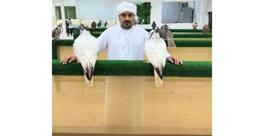 مواطن يحقق هدف «الصقارة المستدامة» بالإمارات ومصر