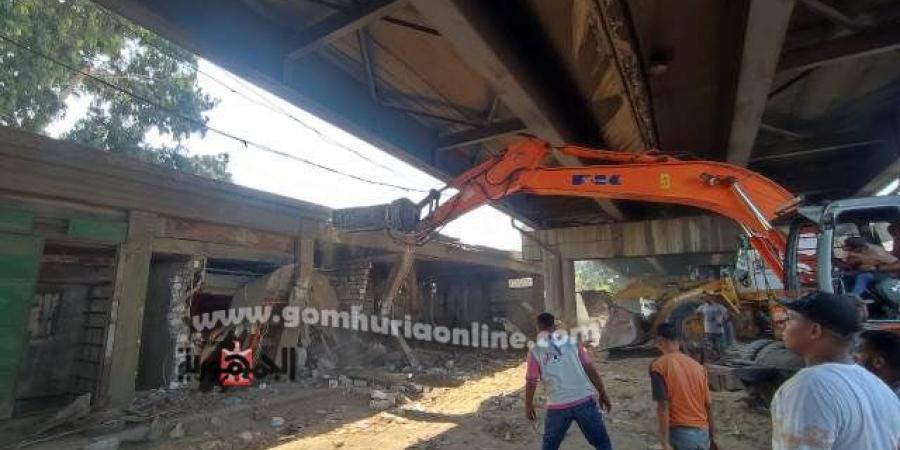 حملة إزالة مكبره للإشغالات أسفل كوبرى أبيس شرق الإسكندرية 