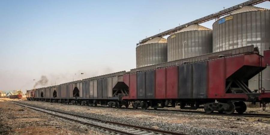 نقل ٣٨٣٦ طن قمح من ميناء دمياط بالقطار إلى صوامع شبرا 