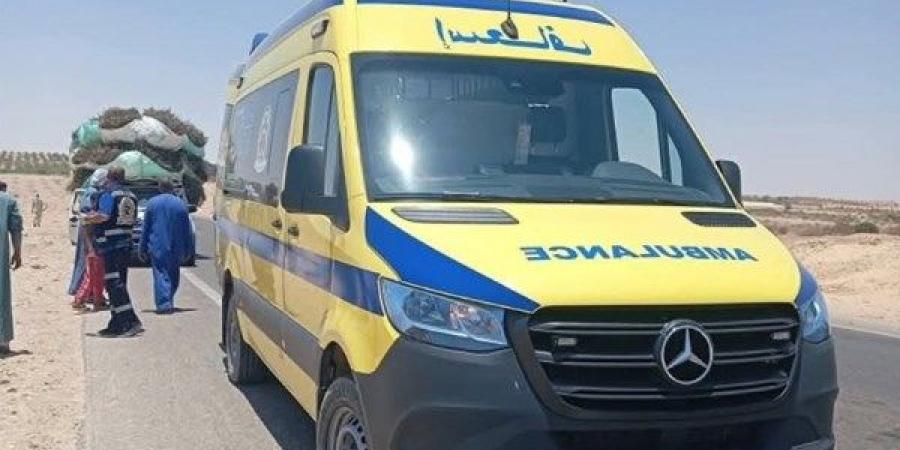 مصرع 3 واصابة 12 في تصادم ميكروباص بسيارة نقل بالوادي الجديد