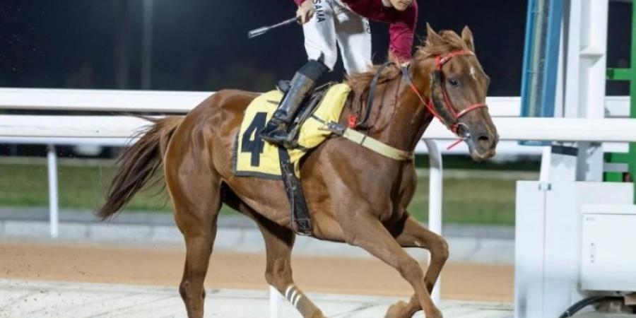 لله دره وعادات ونوافع.. أبطال لكؤوس الأسبوع الرابع من سباقات الطائف للخيل