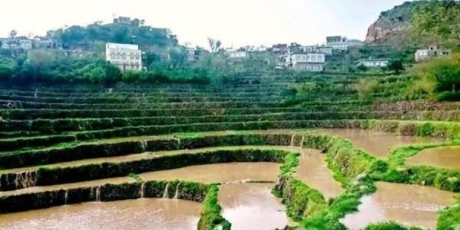 الأرصاد اليمني يتوقع أمطارا رعدية متفاوتة الشدة بعدد من المحافظات