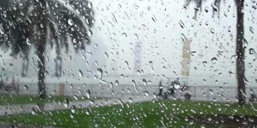 عاجل/ اعلاها 35 مم بهذه المعتمدية: كميات الأمطار المسجلة اليوم السبت..