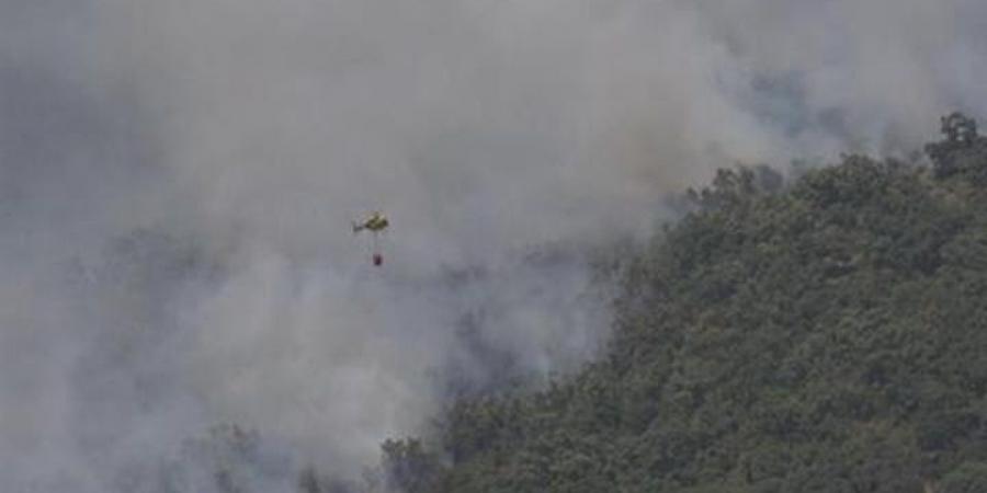 اسبانيا | الجيش يتدخل لمواجهة حرائق غابات مدمرة غرب البلاد .. اغلاق عشرات الطرق و تحذيرات للسكان