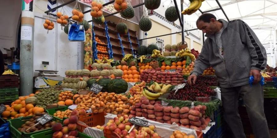 صادرات تونس من الغلال تجاوزت 96 مليون دينار مع منتصف شهر اوت