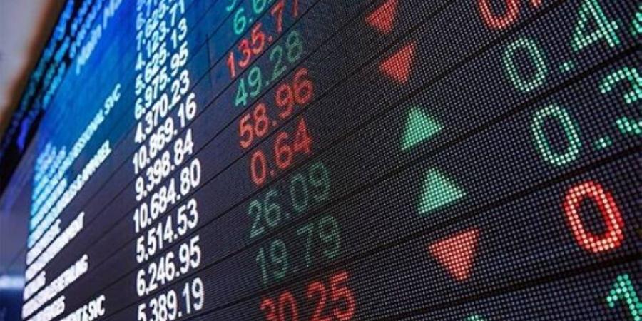 حظر تملك المستثمر الأجنبي أكثر من 49 % من الأسهم