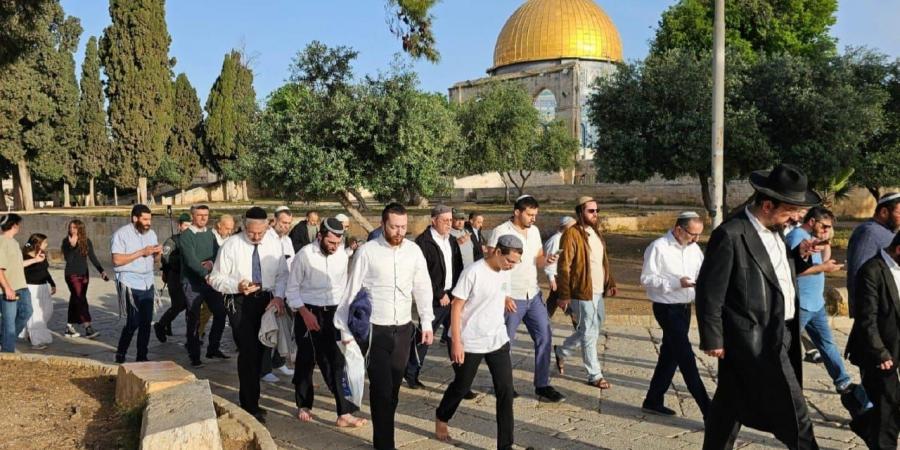 عشرات الصهاينة اقتحموا باحات المسجد الأقصى بحماية قوات العدو