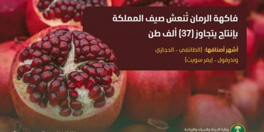 ارتفاع إنتاج الرمان