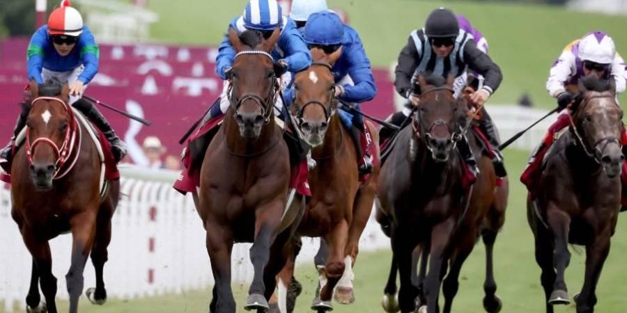 تعرف إلى سبب توقف سباقات الخيل البريطانية لأول مرة