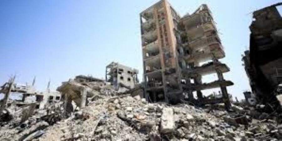 برلماني: مصر الحصن المنيع للقضية الفلسطينية