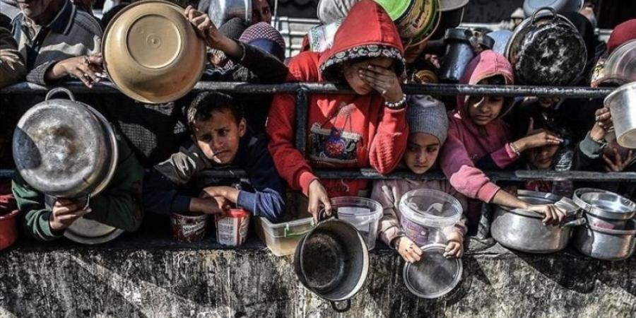 برنامج الأغذية العالمي: نصف مليون فلسطيني في قطاع غزة على شفا المجاعة