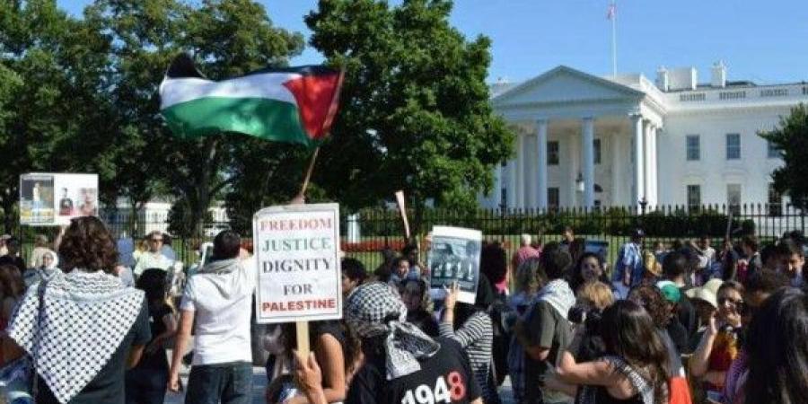 تظاهرة حاشدة في مدينة دالاس الأميركية تنديداً بجرائم الاحتلال بحق الفلسطينيين