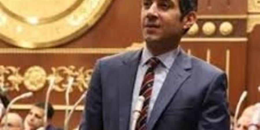 برلماني: موافقة حماس على وقف إطلاق النار انتصار للدور المصري