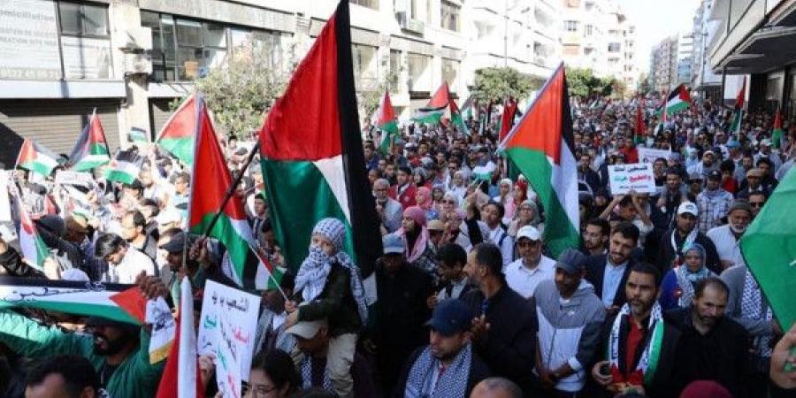 تظاهرة أمام القنصلية الإسرائيلية بولاية تكساس للمطالبة بوقف مبيعات الأسلحة لإسرائيل