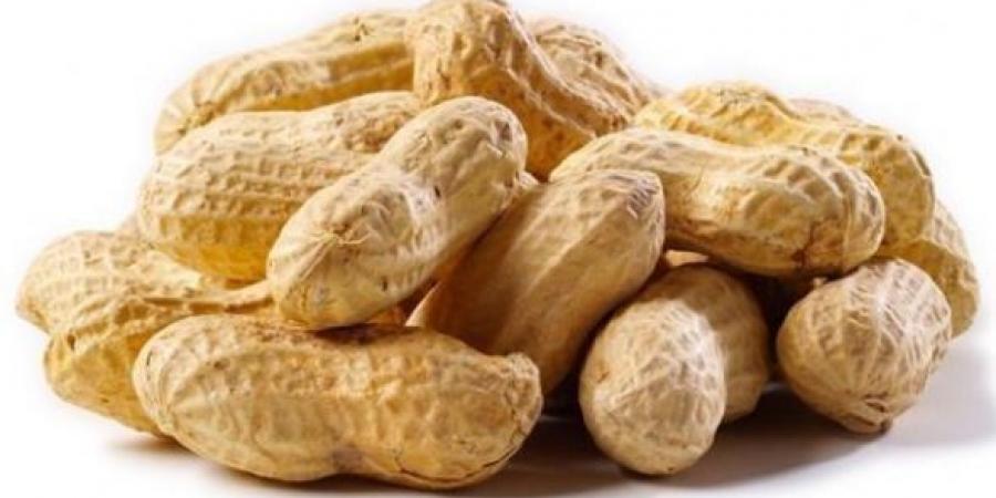 الفول السوداني .. سر جديد لإبطاء الشيخوخة وحماية الخلايا