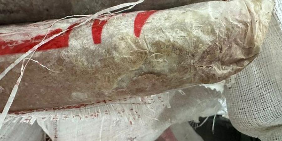 الطب البيطري بأسيوط يضبط طن لحوم فاسدة