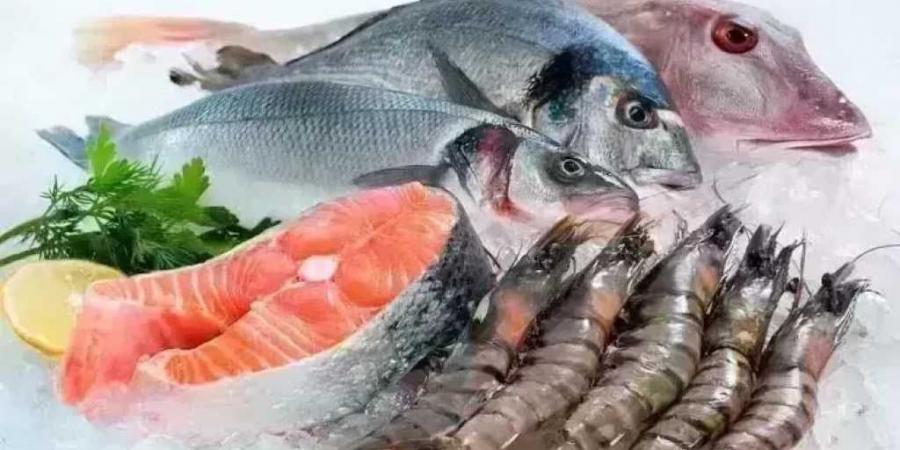 ارتفاع البوري.. أسعار الأسماك اليوم الخميس 21-8-2025