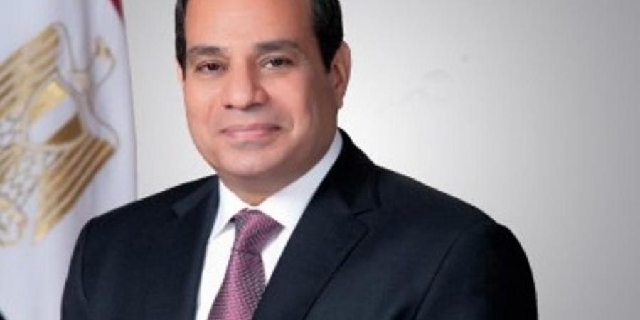 الرئيس السيسي يعود إلى أرض الوطن بعد زيارة السعودية