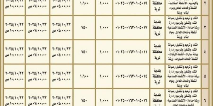 بلدية تربة تطرح 20 فرصة استثمارية