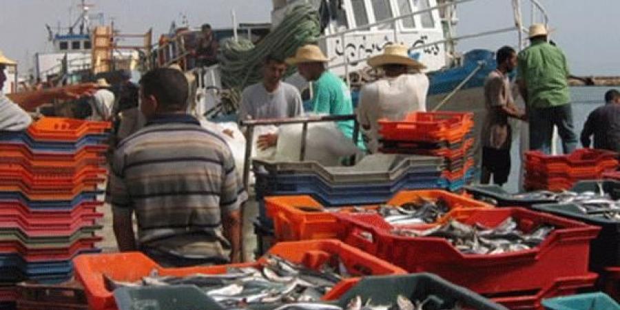 تراجع فائض الميزان التجاري لمنتوجات الصيد البحري ب61,8% في النصف الأول من 2025