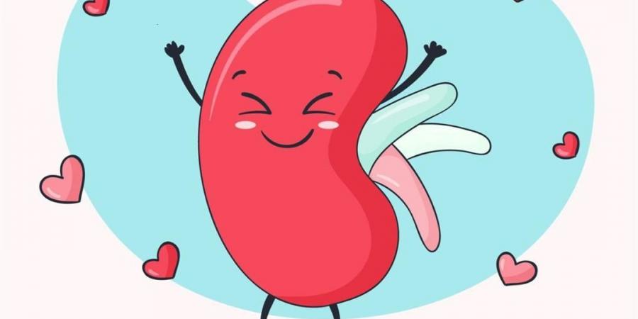 نصائح للحفاظ على صحة الكلى لدى الأطفال