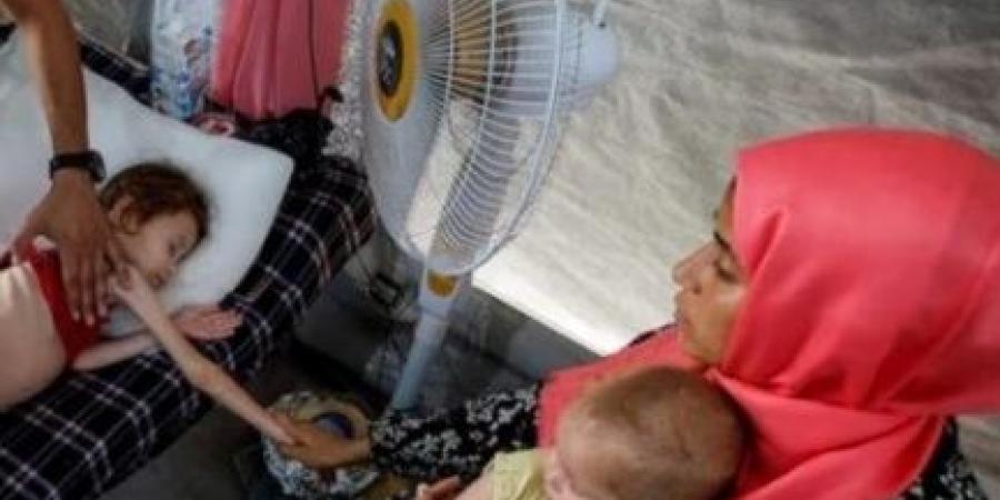 الاتحاد الأوروبي: الأطفال يموتون جوعا | المجاعة في غزة