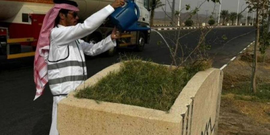 مباردة لسقيا مزروعات رنية والعناية بالنمو النباتي