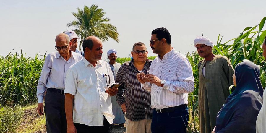 وكيل وزارةالزراعة بسوهاج يتفقد زراعات دوارالشمس والطماطم بكوم بدر