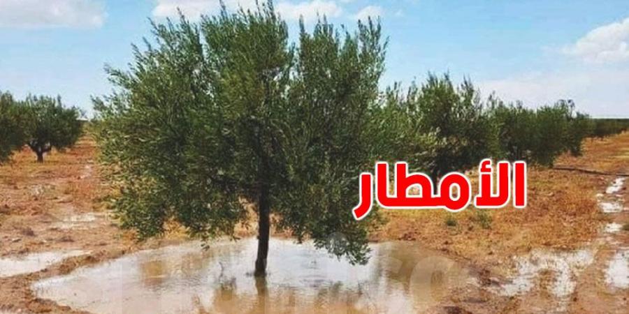 القصرين تعيش أجواء ممطرة مساء اليوم