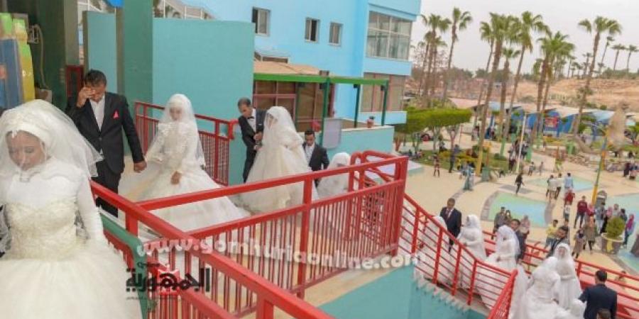 زواج  10 يتيمات بقرى بني سويف برعاية التضامن