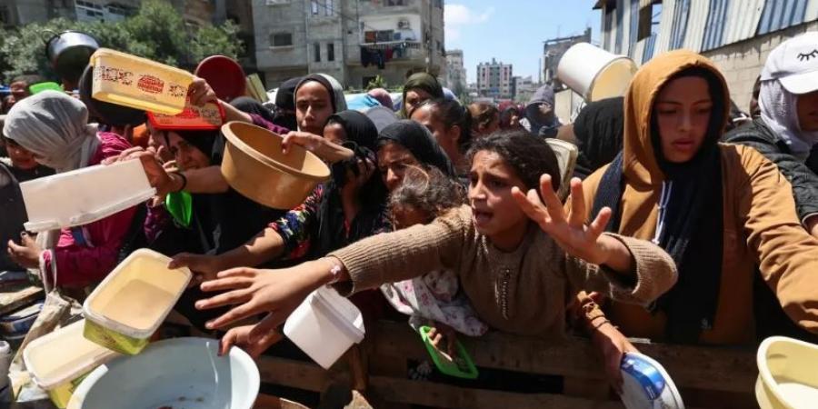 مصر تعرب عن بالغ قلقها من التقارير حول حالة المجاعة في غزة